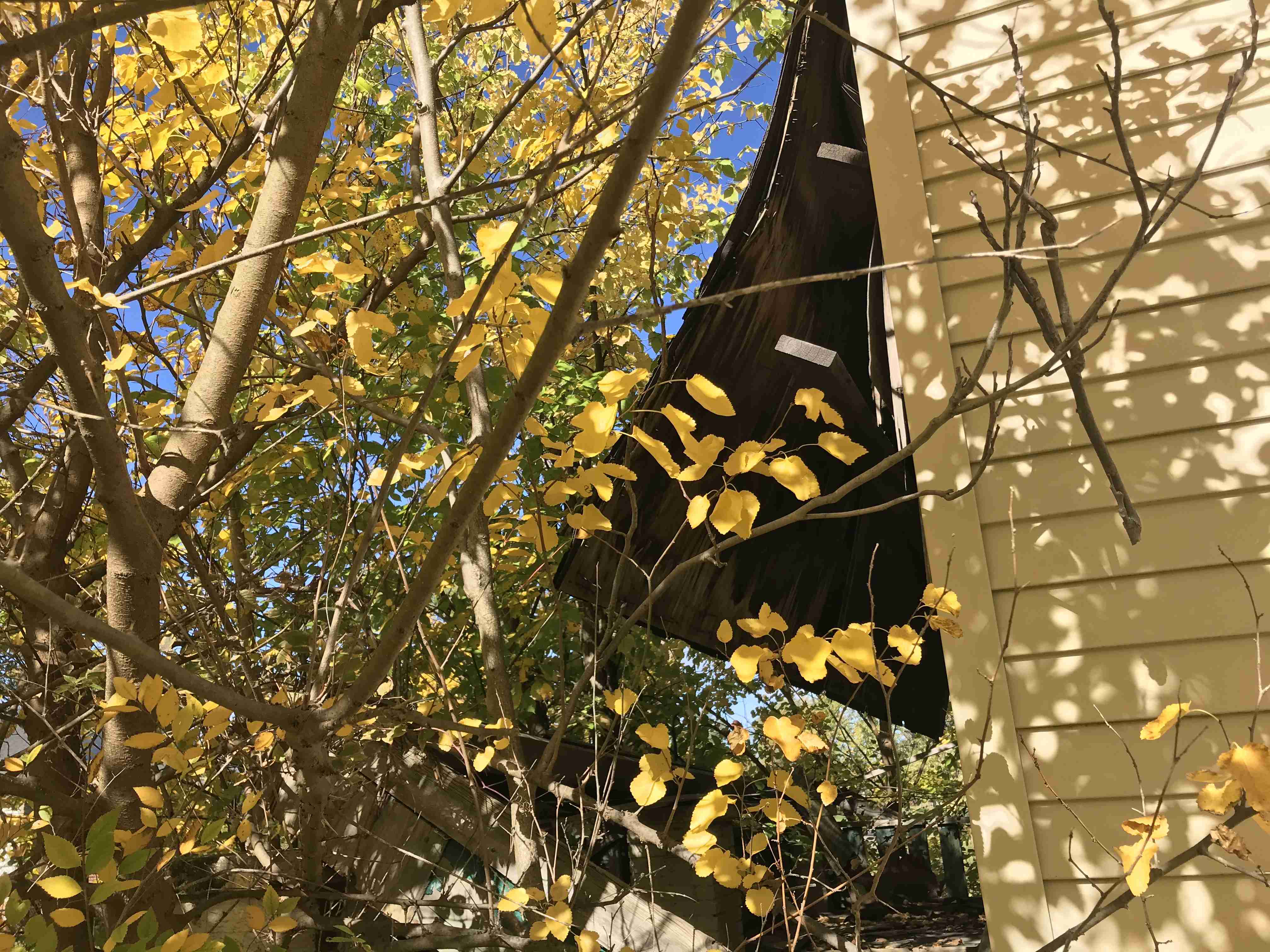 Photo Oct 13, 12 04 55 PM (1).jpg